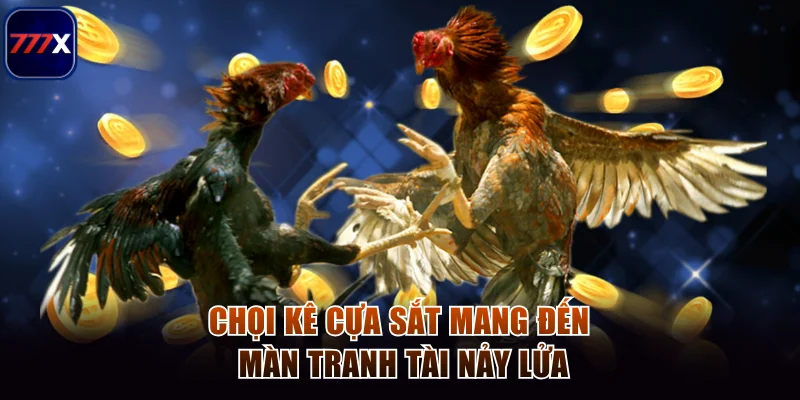 Chọi kê cựa sắt mang đến màn tranh tài nảy lửa