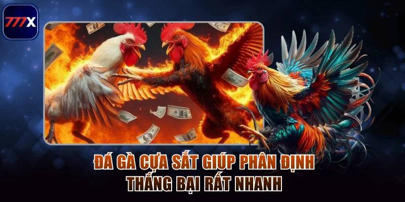 Hướng Dẫn Chơi Đá Gà Cựa Sắt Tại 777x Chuẩn Từng Hiệp 2 Đá gà cựa sắt giúp phân định thắng bại rất nhanh