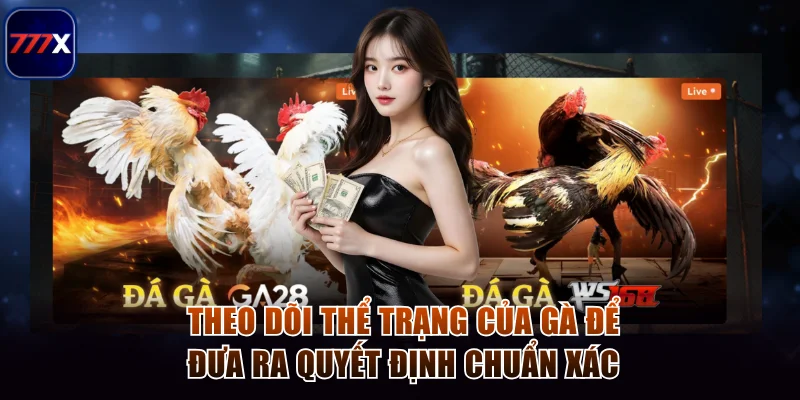 Quy Tắc Chơi Đá Gà Cựa Dao Cực Dễ Hiểu Dành Cho Tân Binh 4 Theo dõi thể trạng của gà để đưa ra quyết định chuẩn xác