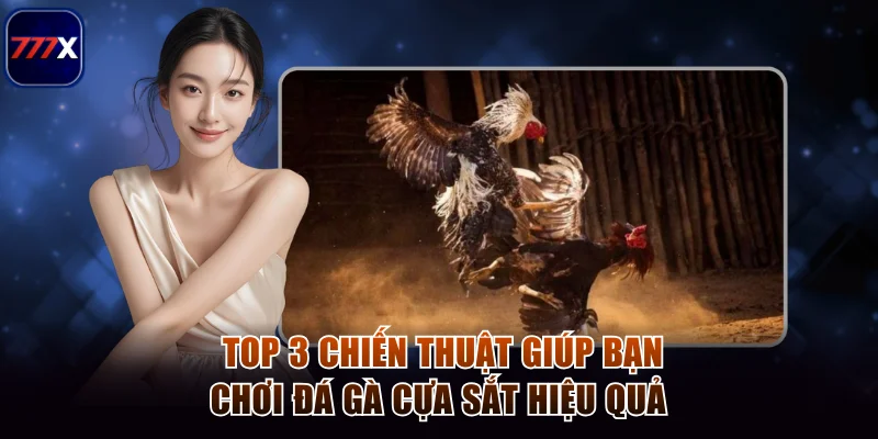 Hướng Dẫn Chơi Đá Gà Cựa Sắt Tại 777x Chuẩn Từng Hiệp 4 Top 3 chiến thuật giúp bạn chơi đá gà cựa sắt hiệu quả